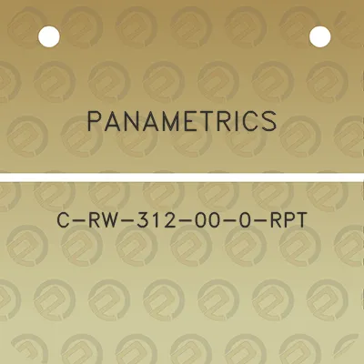 panametrics-c-rw-312-00-0-rpt