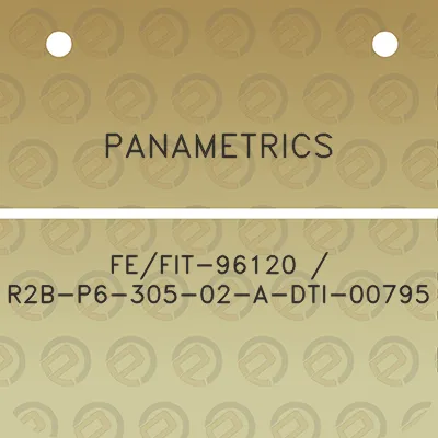 panametrics-fefit-96120-r2b-p6-305-02-a-dti-00795