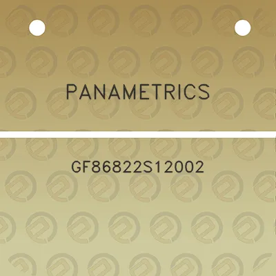 panametrics-gf86822s12002