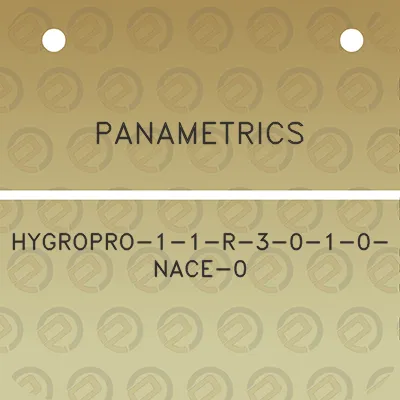 panametrics-hygropro-1-1-r-3-0-1-0-nace-0