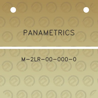 panametrics-m-2lr-00-000-0