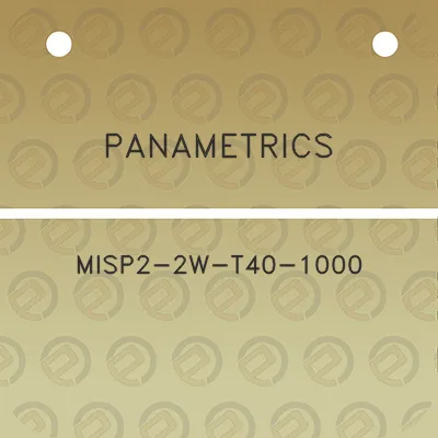 panametrics-misp2-2w-t40-1000