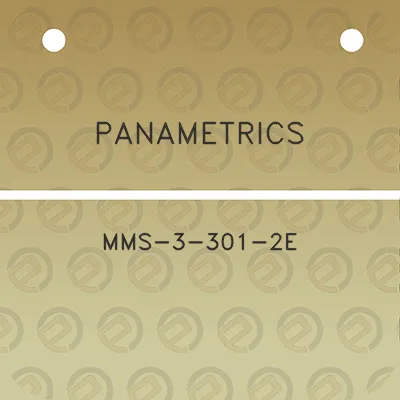 panametrics-mms-3-301-2e