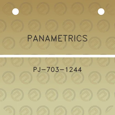 panametrics-pj-703-1244