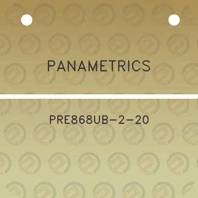 panametrics-pre868ub-2-20