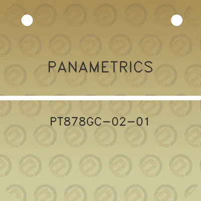 panametrics-pt878gc-02-01