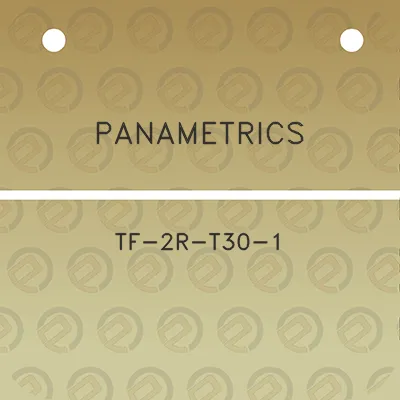 panametrics-tf-2r-t30-1