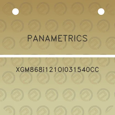 panametrics-xgm868i121oi031540cc