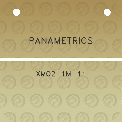 panametrics-xmo2-1m-11