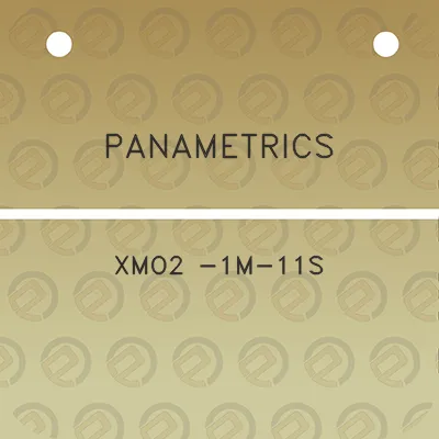 panametrics-xmo2-1m-11s