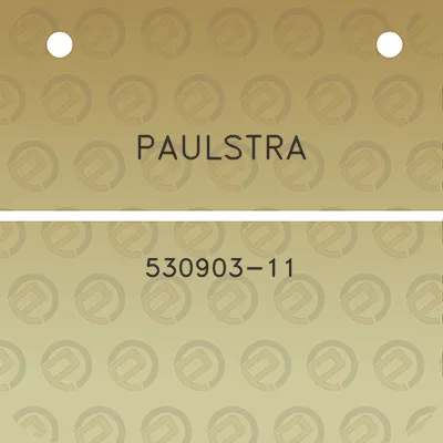 paulstra-530903-11