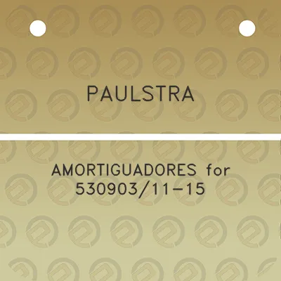 paulstra-amortiguadores-for-53090311-15