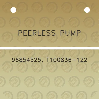 peerless-pump-96854525-t100836-122