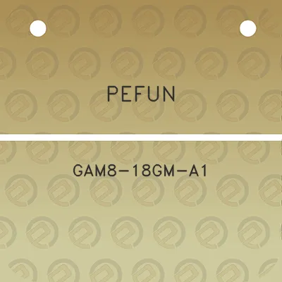 pefun-gam8-18gm-a1