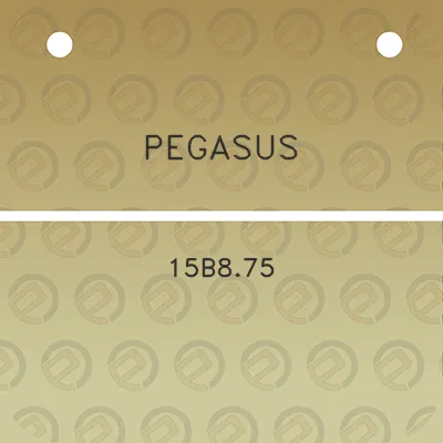 pegasus-15b875