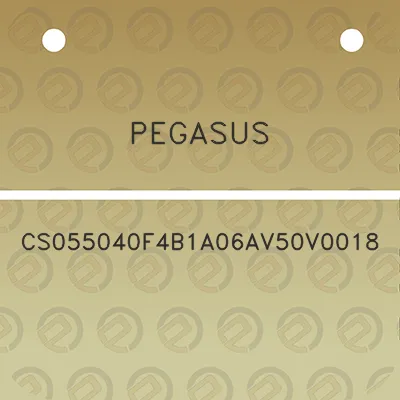 pegasus-cs055040f4b1a06av50v0018