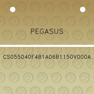 pegasus-cs055040f4b1a06b1150v000a