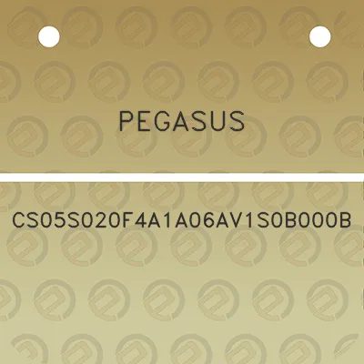 pegasus-cs05s020f4a1a06av1s0b000b