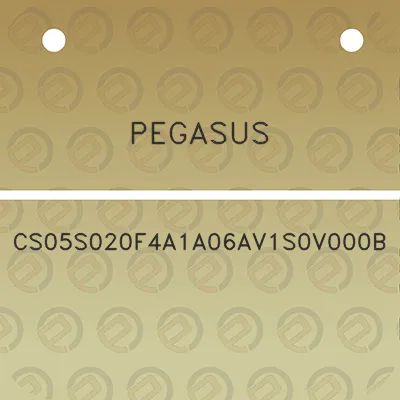 pegasus-cs05s020f4a1a06av1s0v000b