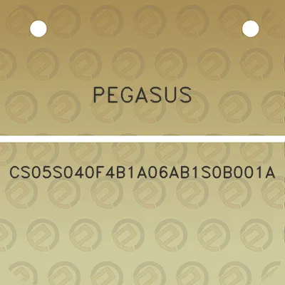 pegasus-cs05s040f4b1a06ab1s0b001a