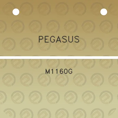 pegasus-m1160g