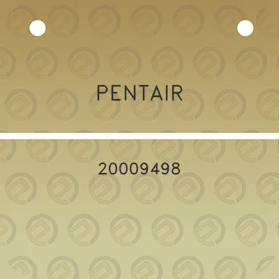 pentair-20009498