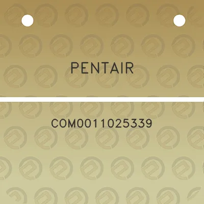 pentair-com0011025339