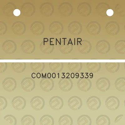 pentair-com0013209339