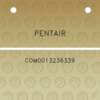 pentair-com0013236339