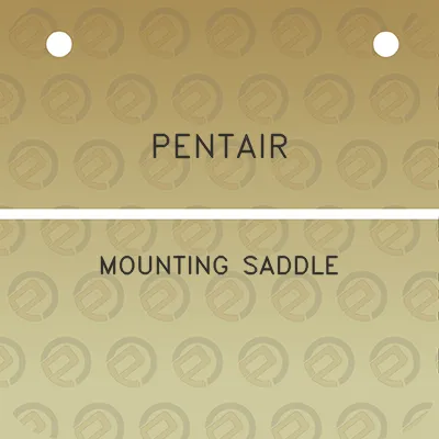 pentair-mounting-saddle