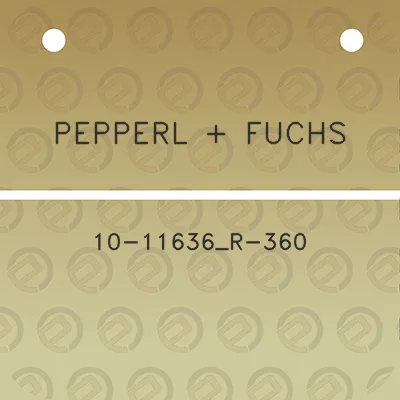 pepperl-fuchs-10-11636_r-360