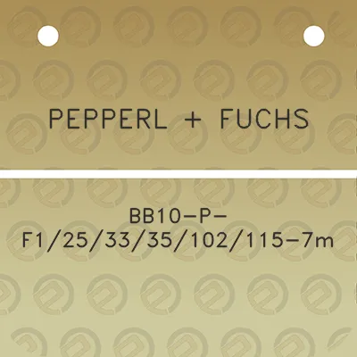 pepperl-fuchs-bb10-p-f1253335102115-7m