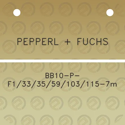 pepperl-fuchs-bb10-p-f1333559103115-7m