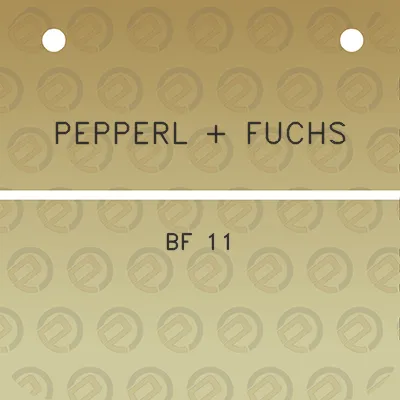 pepperl-fuchs-bf-11