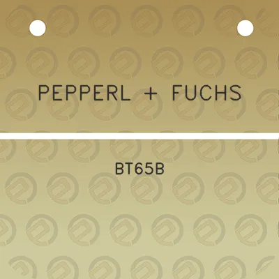 pepperl-fuchs-bt65b