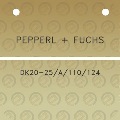 pepperl-fuchs-dk20-25a110124