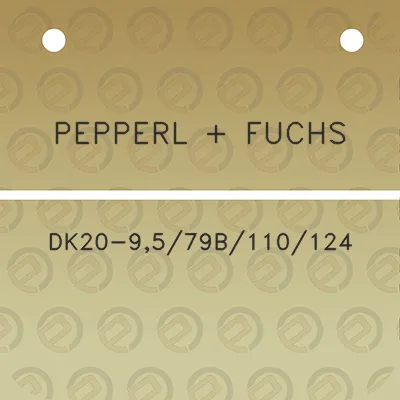 pepperl-fuchs-dk20-9579b110124