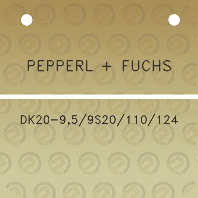 pepperl-fuchs-dk20-959s20110124