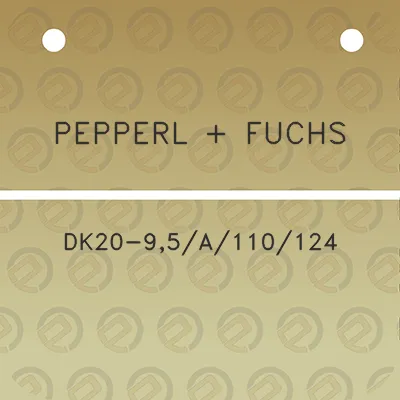 pepperl-fuchs-dk20-95a110124