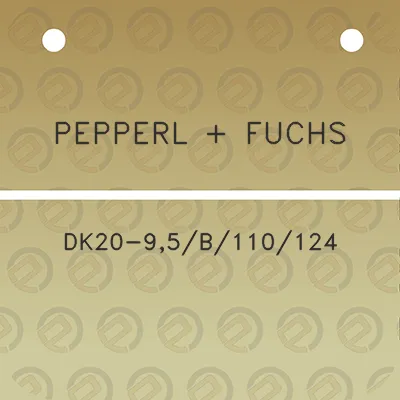 pepperl-fuchs-dk20-95b110124