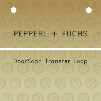 pepperl-fuchs-doorscan-transfer-loop