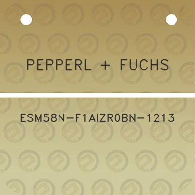 pepperl-fuchs-esm58n-f1aizr0bn-1213