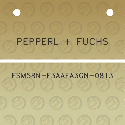 pepperl-fuchs-fsm58n-f3aaea3gn-0813