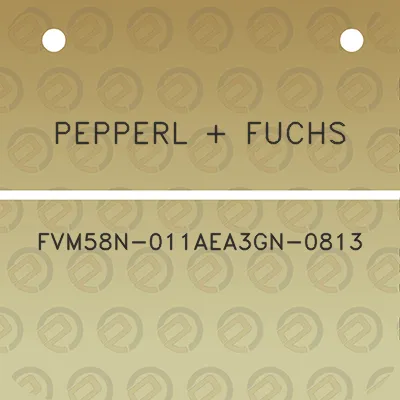 pepperl-fuchs-fvm58n-011aea3gn-0813