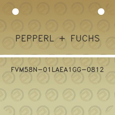pepperl-fuchs-fvm58n-01laea1gg-0812