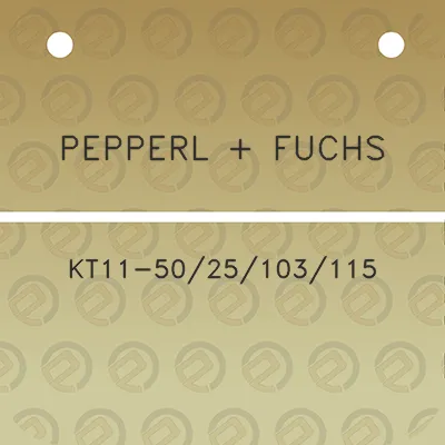 pepperl-fuchs-kt11-5025103115