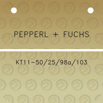 pepperl-fuchs-kt11-502598a103