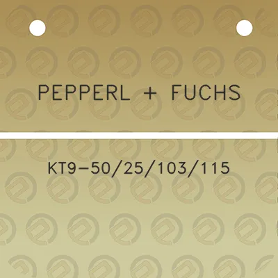 pepperl-fuchs-kt9-5025103115