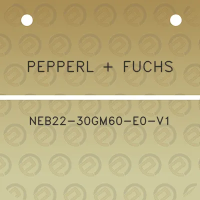 pepperl-fuchs-neb22-30gm60-e0-v1