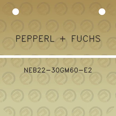 pepperl-fuchs-neb22-30gm60-e2